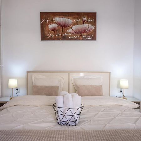 Central Amelie Accommodation Сігішоара Екстер'єр фото